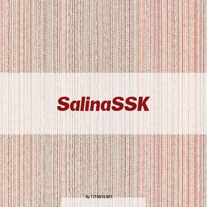 SalinaSSK example